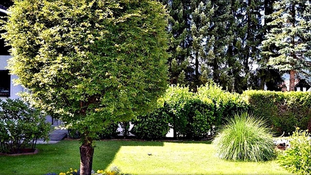 Ferienwohnung Neuhuber Bad Goisern am Hallstättersee Exterior foto